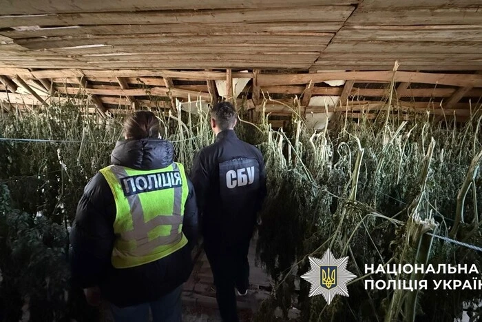50 мішків коноплі та 5 кг канабісу: у Києві затримано «наркоаграріїв»