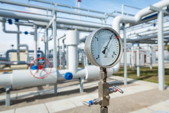 Навіть невеликі обсяги експорту газу можуть підтримати видобуток – експертка